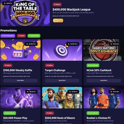 Roobet Gambling Establishment Review 2026